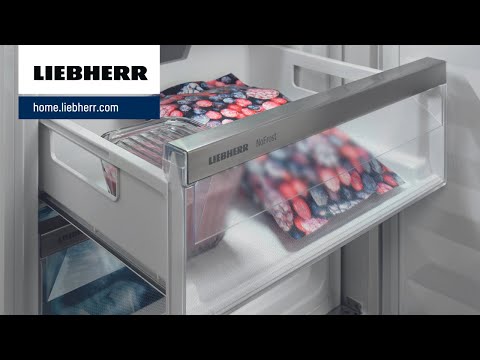 Liebherr SBSes 8496-21 Side by Side Kühlschrank mit Weinfach und Festwasser, D
